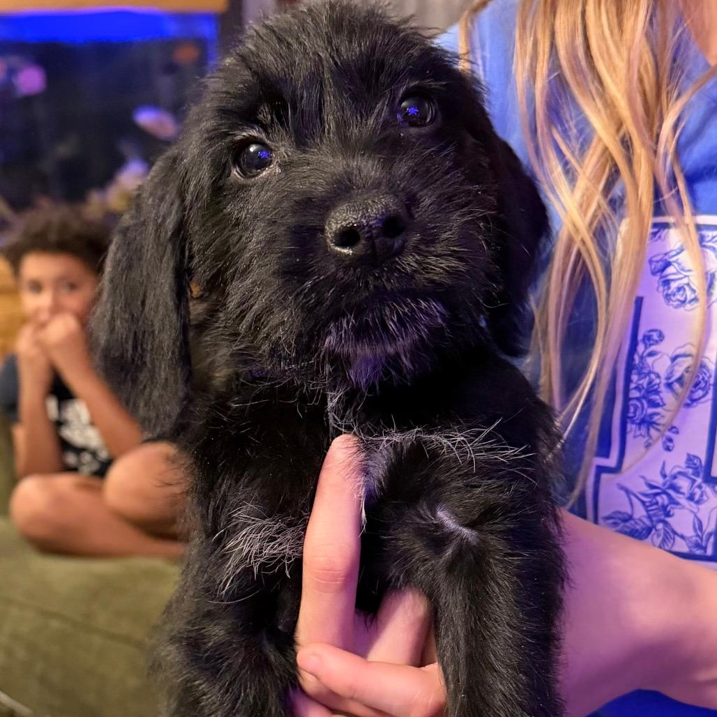 Eleanor 