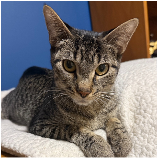 Dorothy "Dumptruck" Winifred