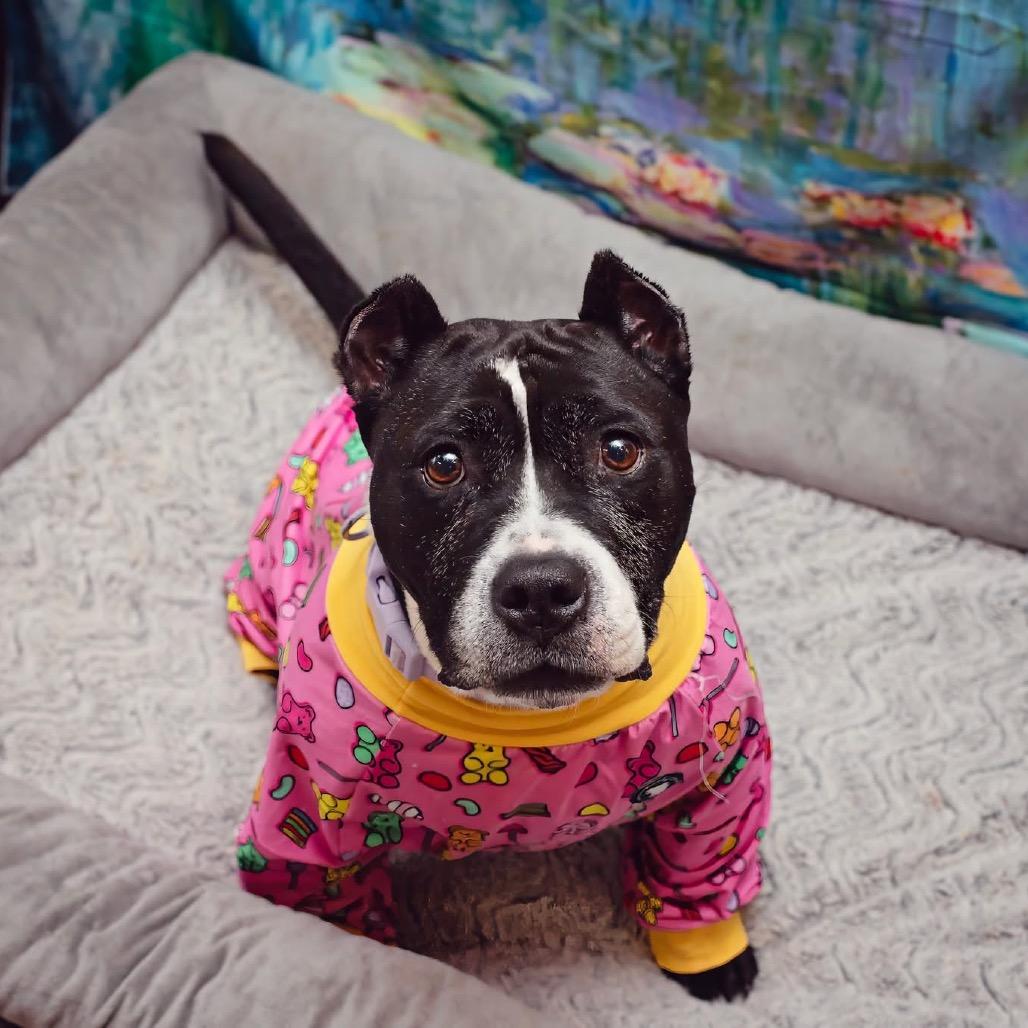 Sadie (Foster)