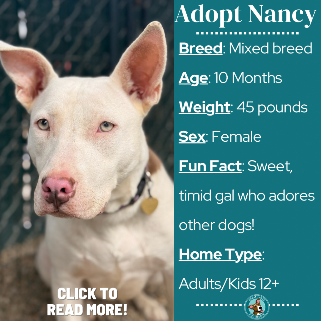 Nancy
