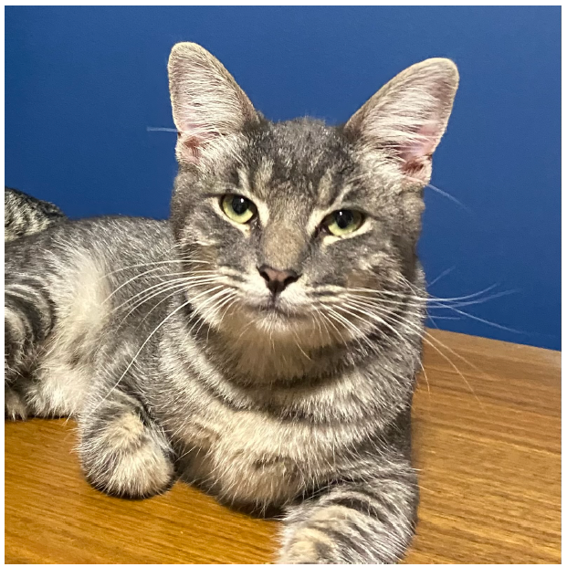 Milo "Batman" Mindbender