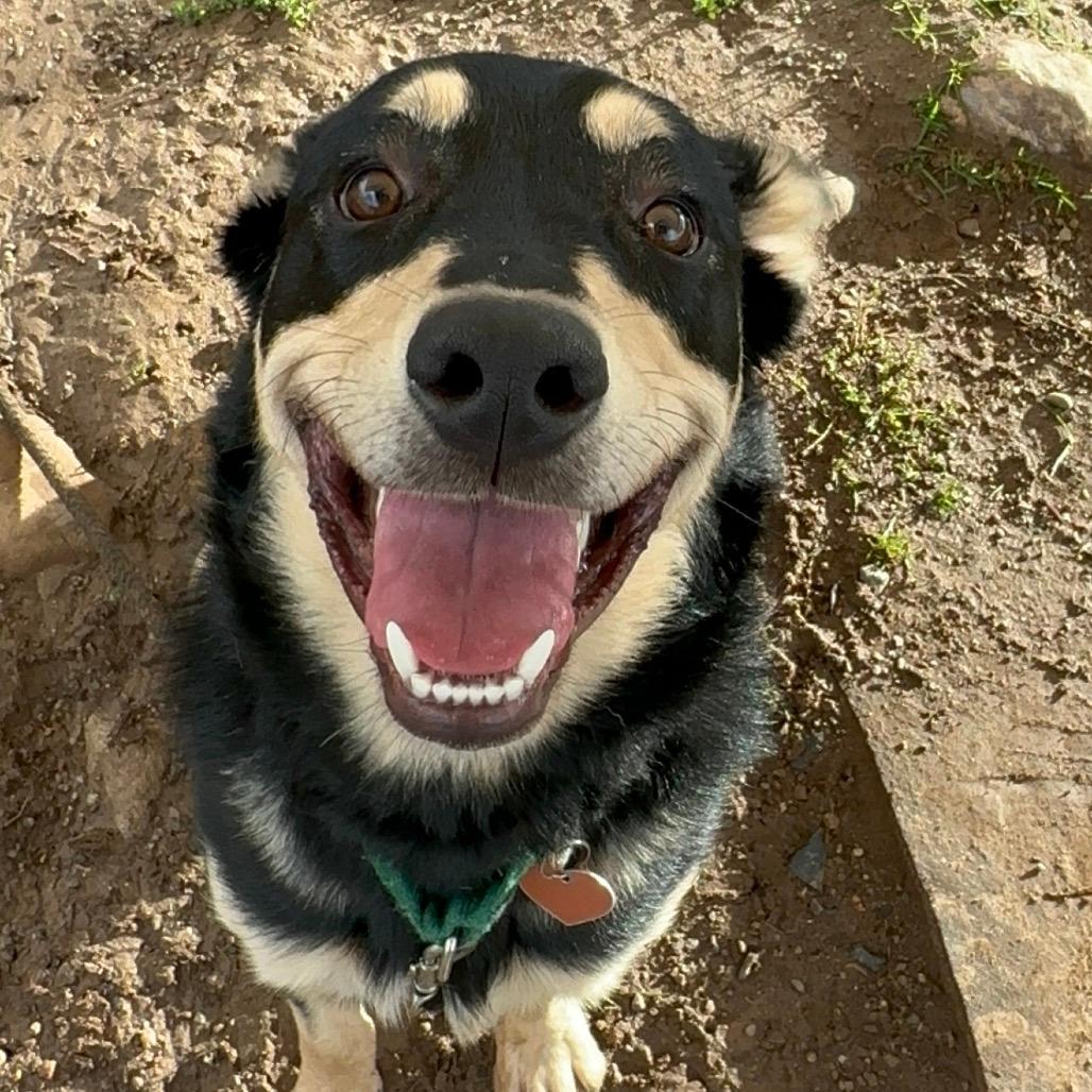 Mac