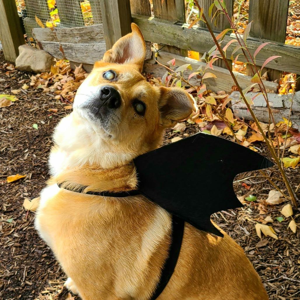 Ray