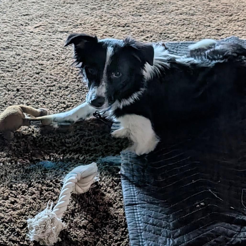 Tuckerby