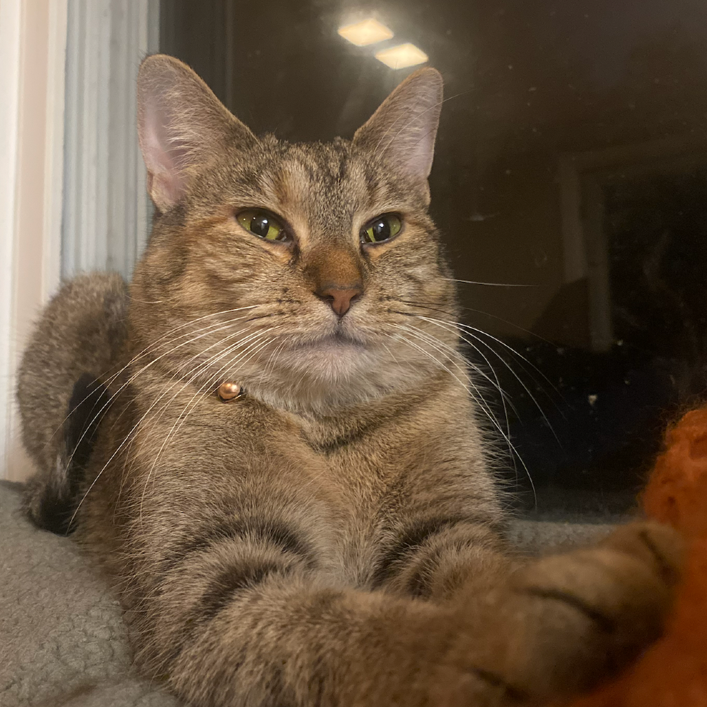 Nala