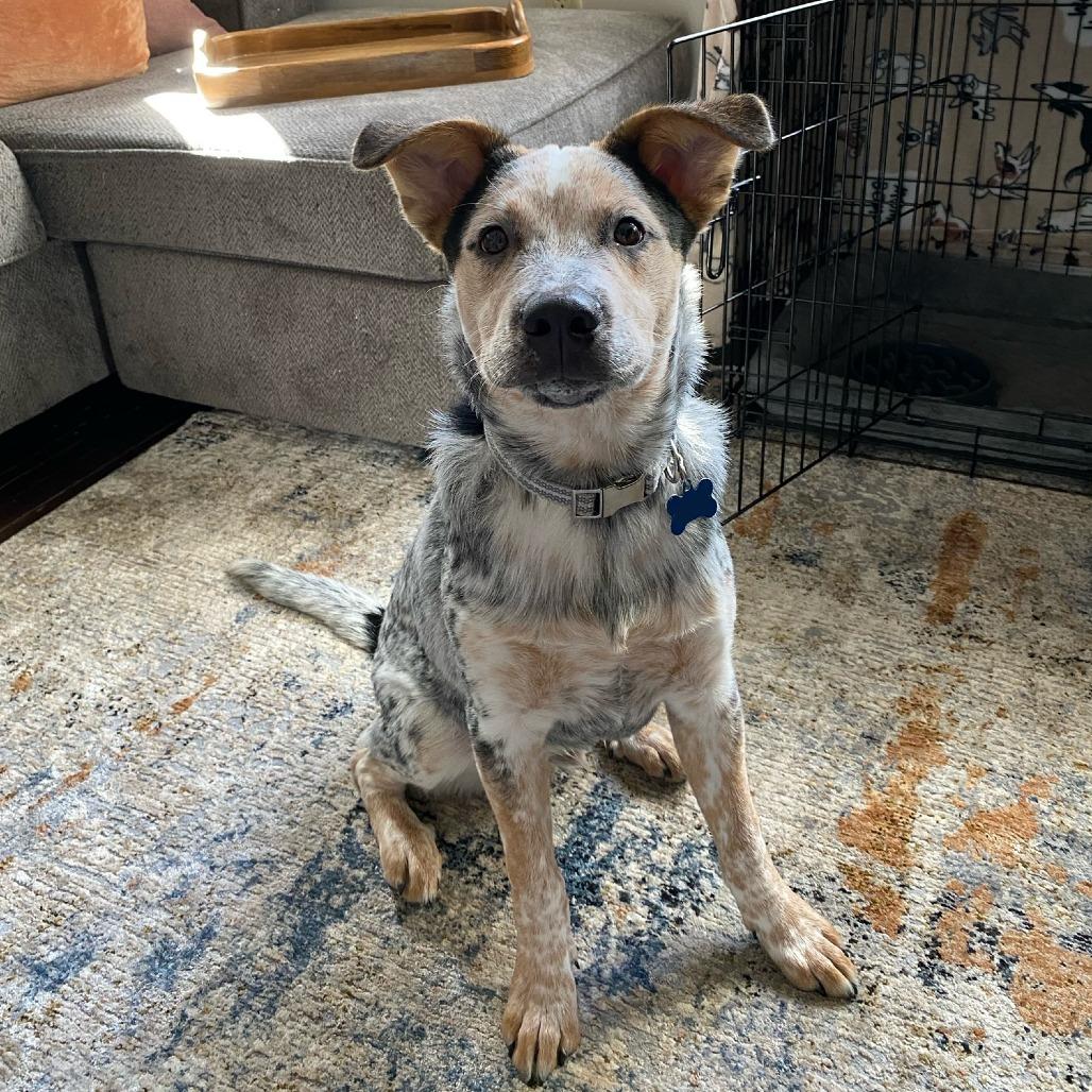 NY/CT Bogey (Foster in Meriden)