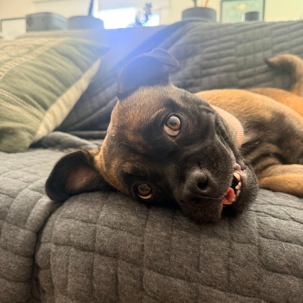 Rosalita