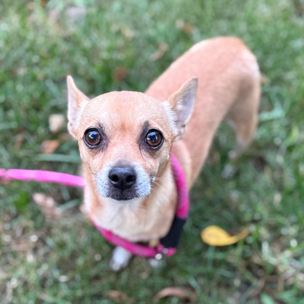 BayBay (bonded w/Poco)