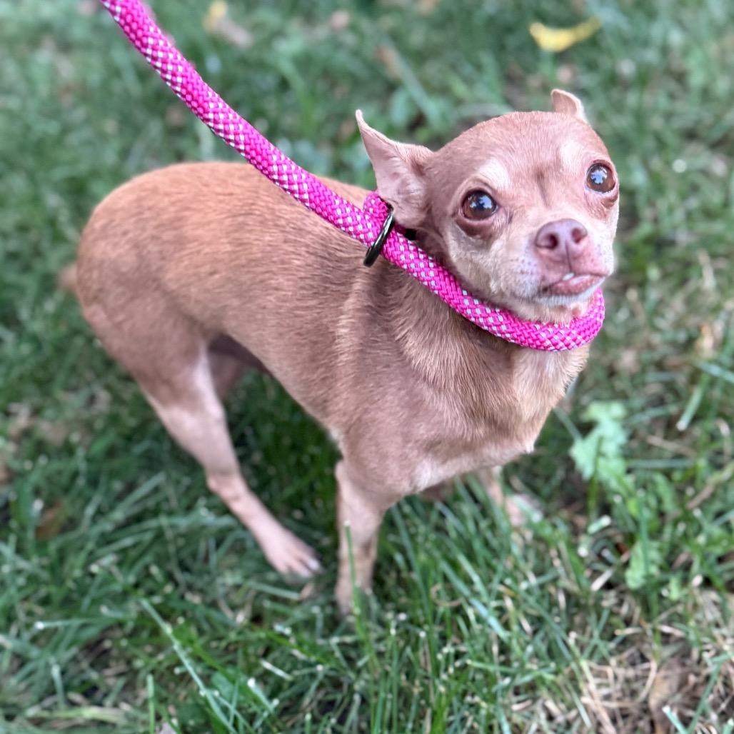 Poco (Bonded w/Bay Bay)