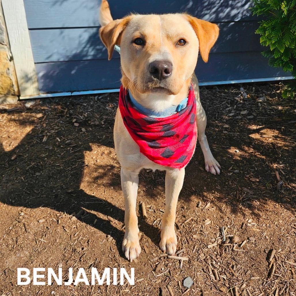 Benjamin (Benny) 