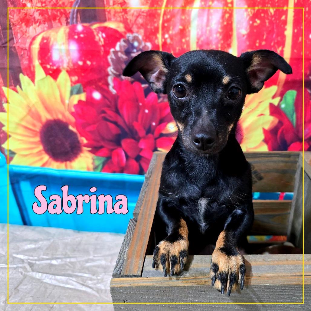 Sabrina