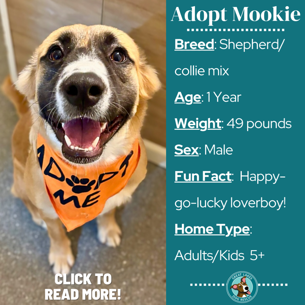 Mookie