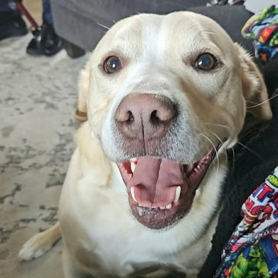 Bubba