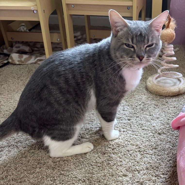 Raymond *Meet me at Eagan Petsmart*