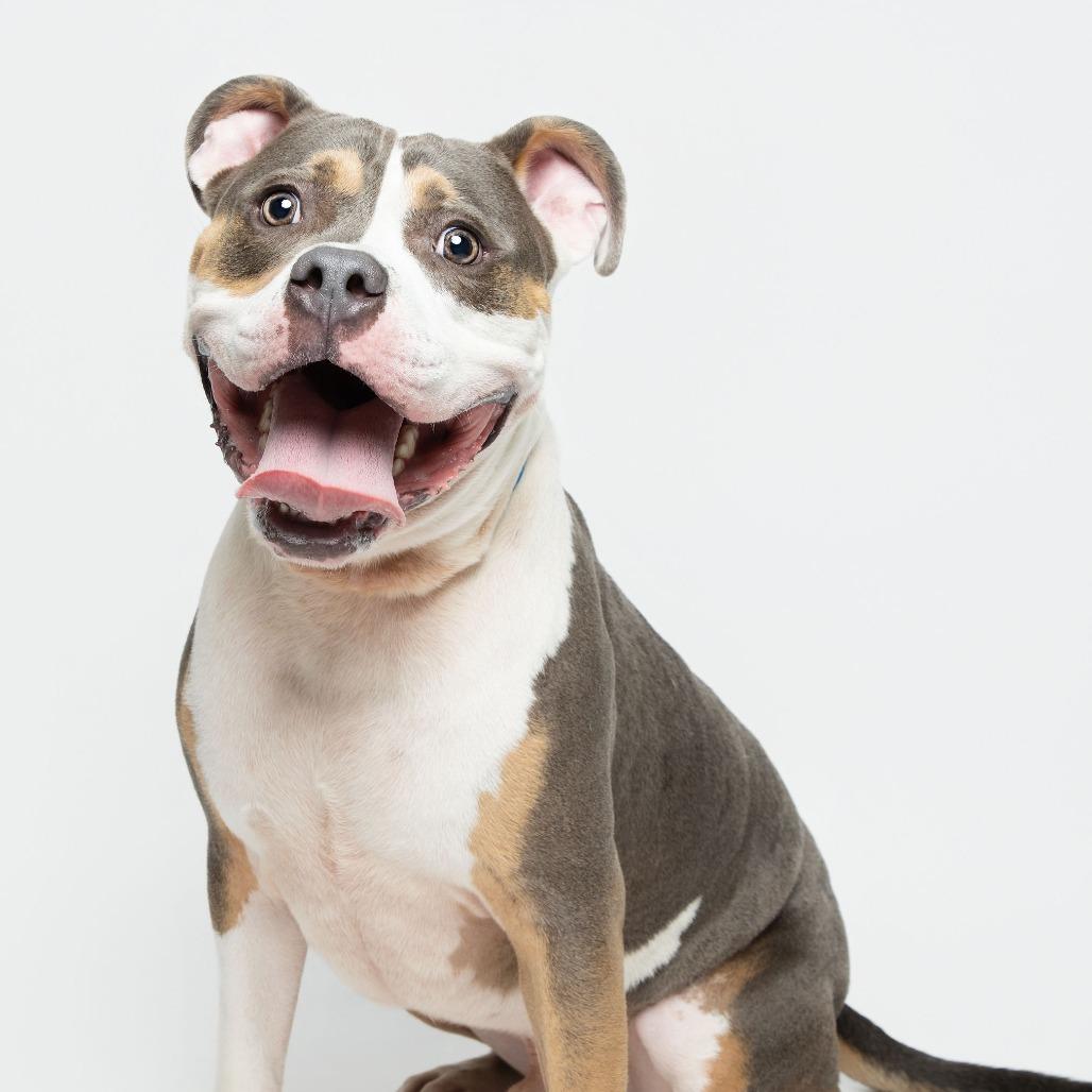 Gus