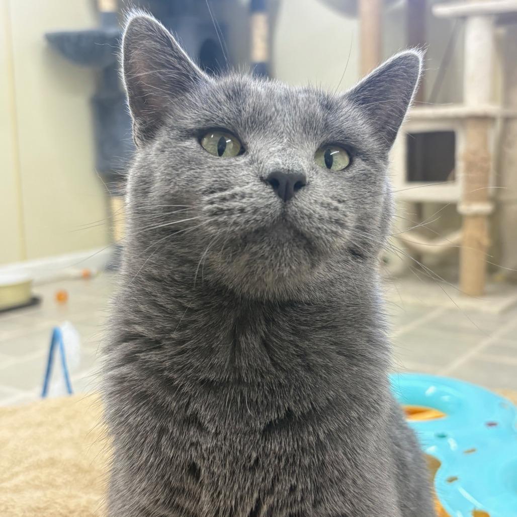 Ellen