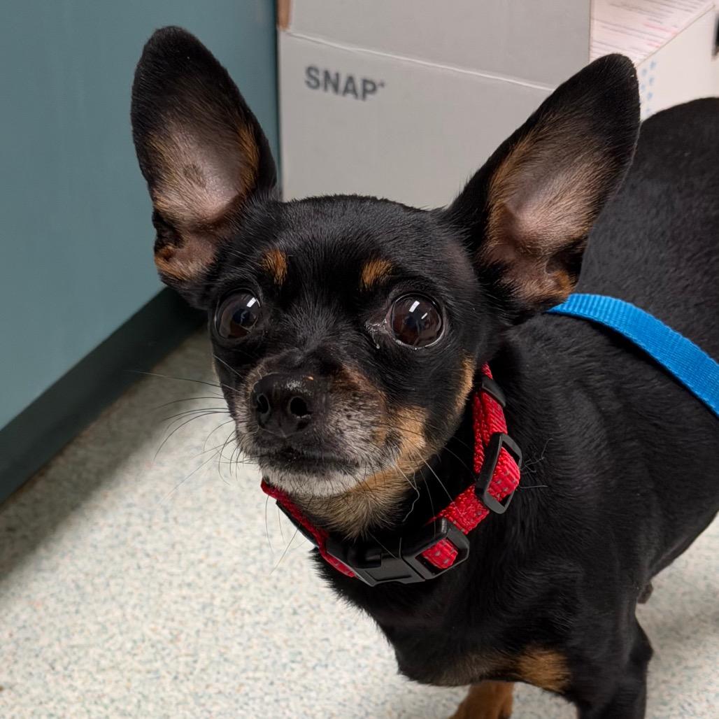 Peanut - See my Video!