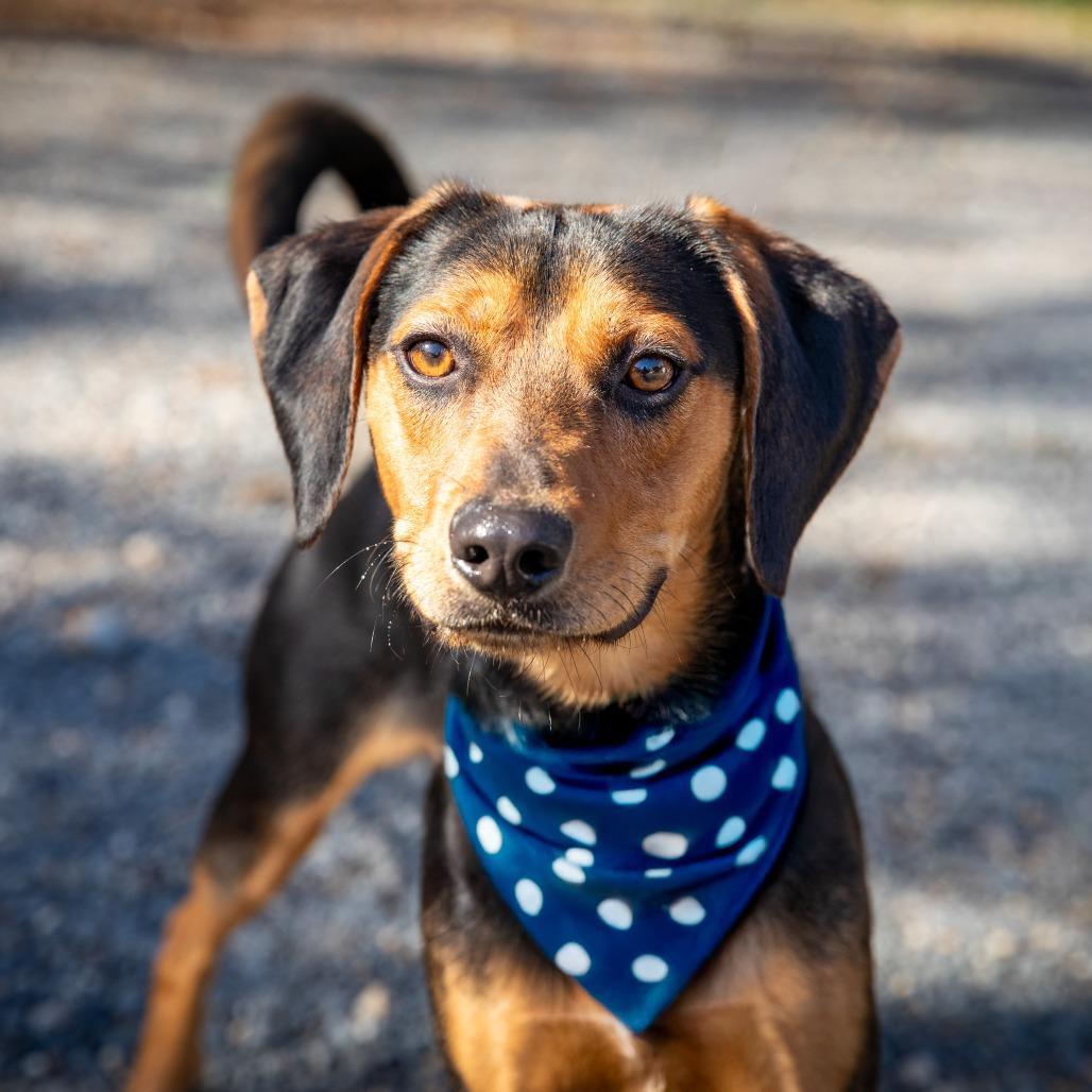 Beetlejuice, Beetlejuice, Beetlejuice