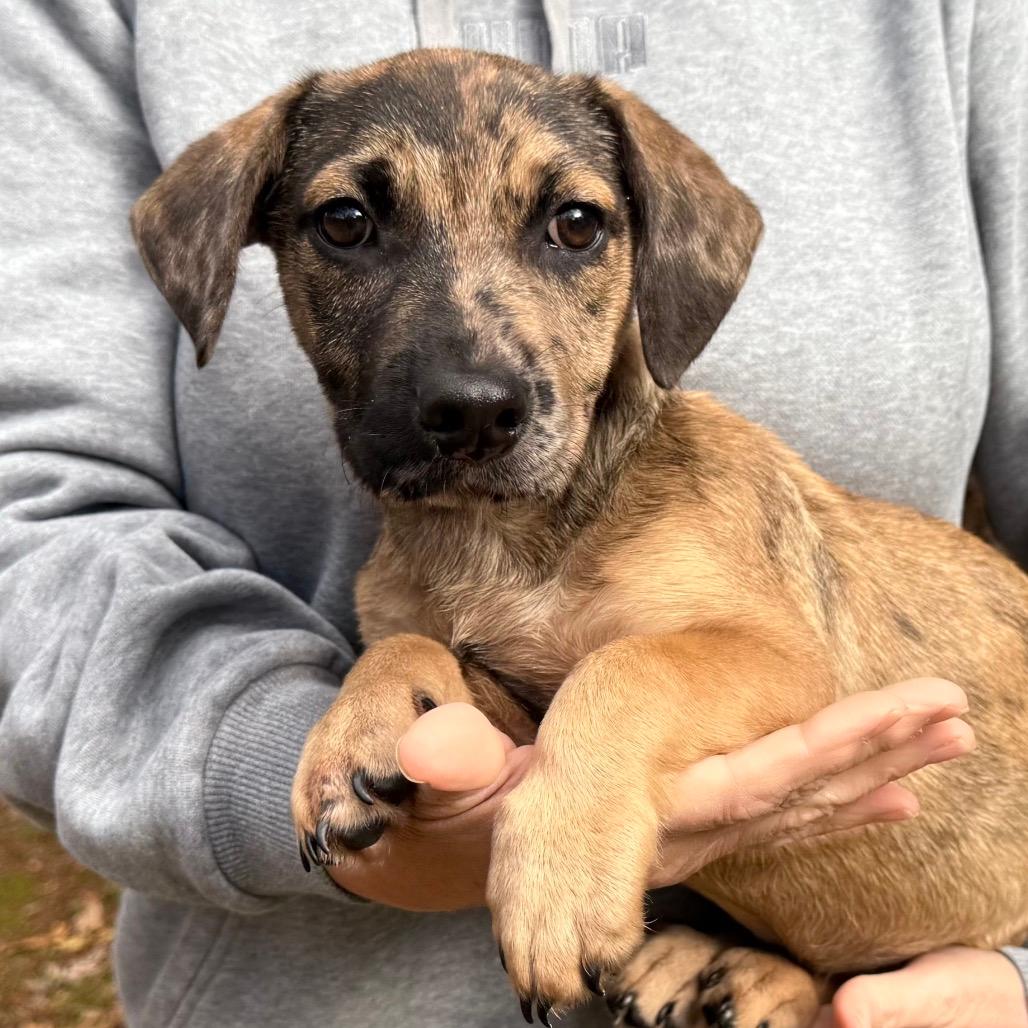 CT Lee (Foster in Monroe)