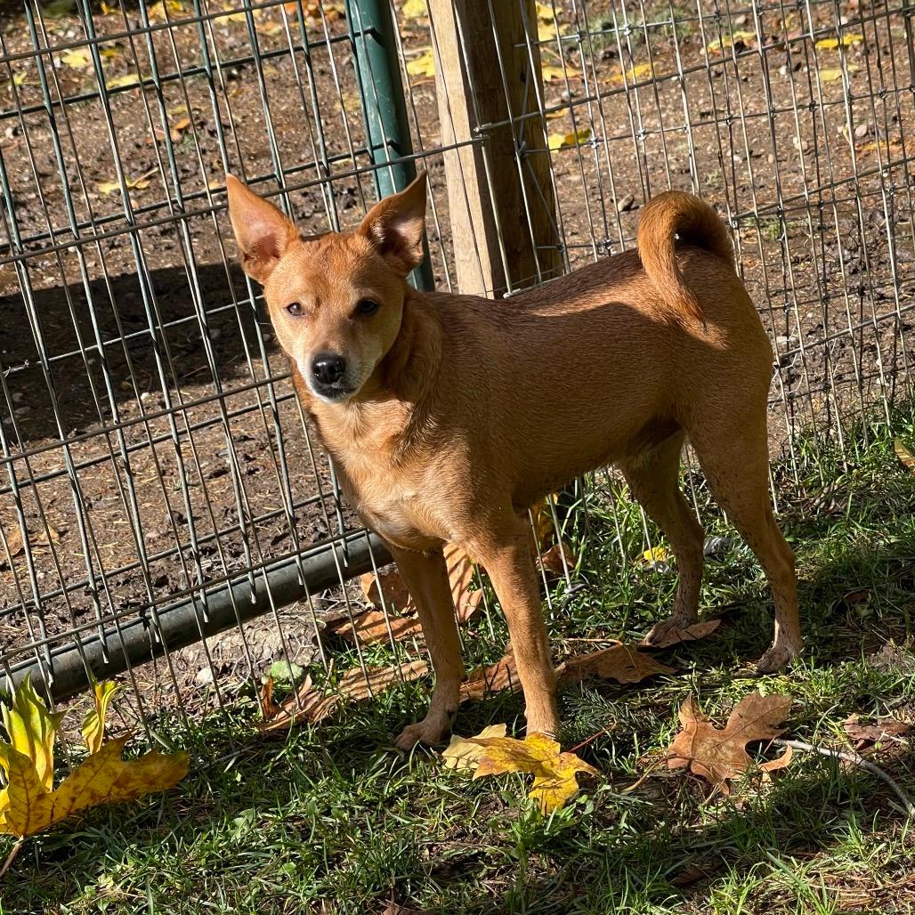 TY (bonded w/Pee Wee)