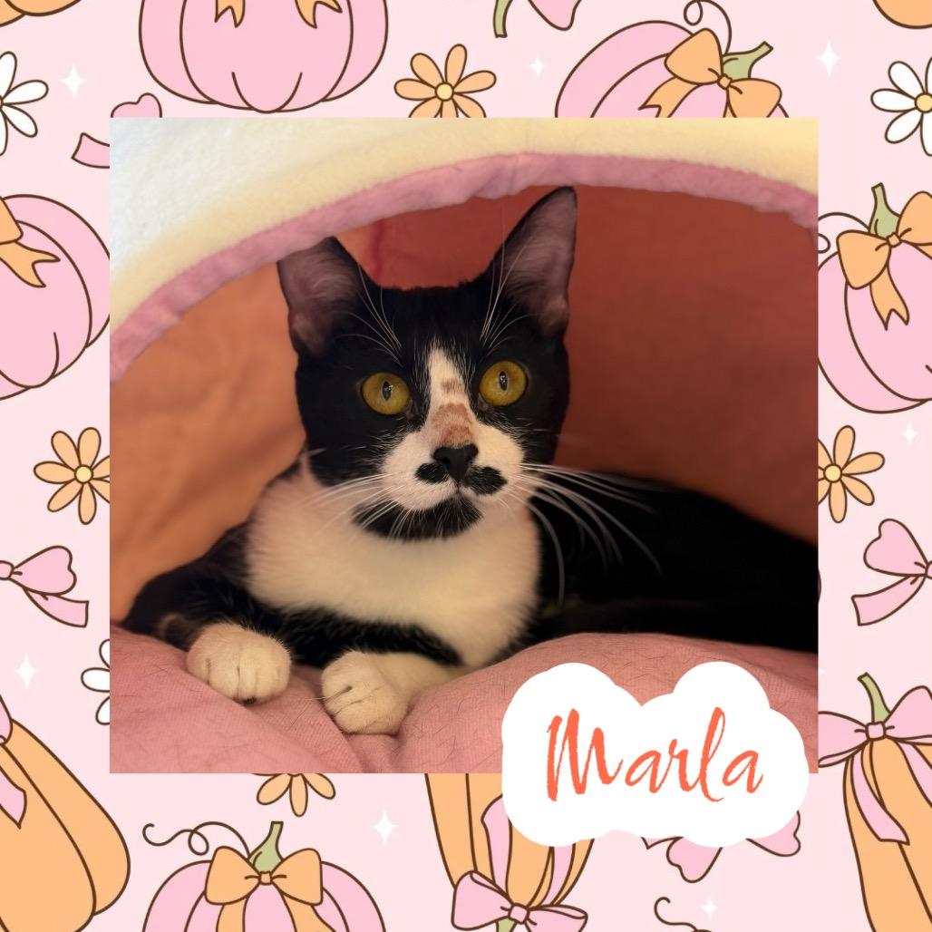 Marla