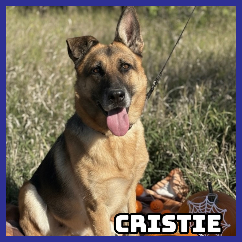 Cristie
