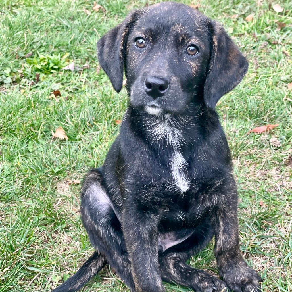 NY Me (Foster in LaGrangeville)