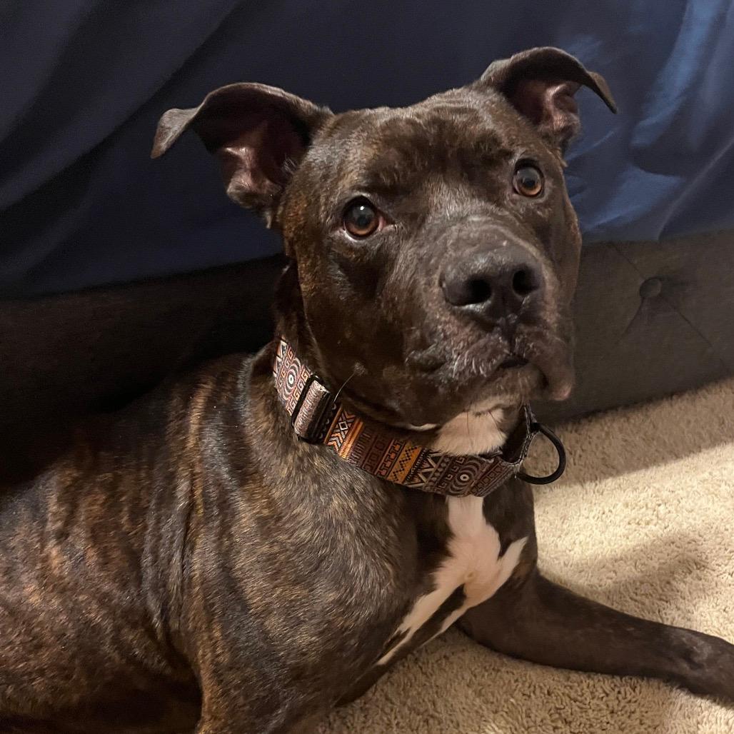 Sprite Adoption Fee-SPONSORED!)