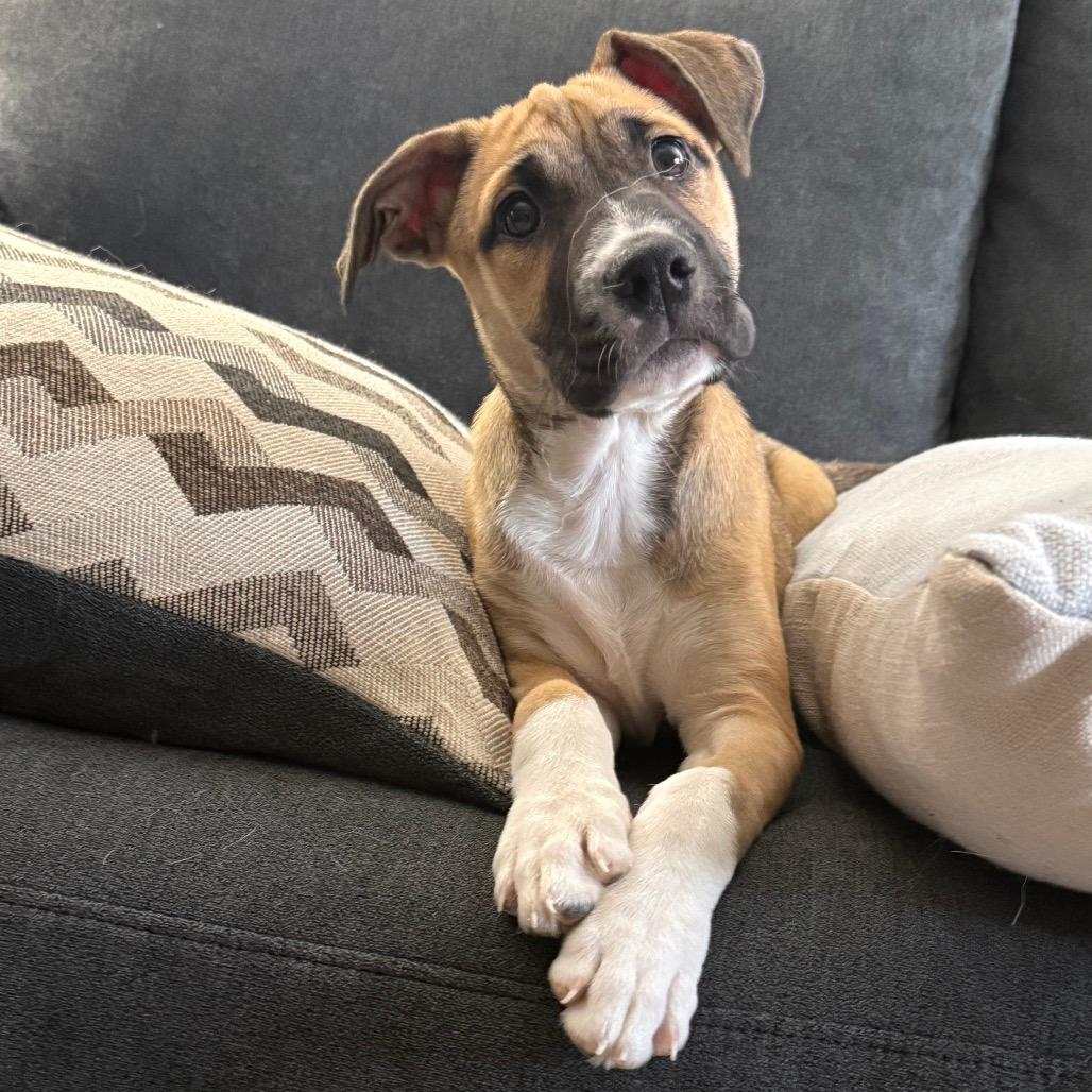 NY Winsley (Foster in Mahopac)