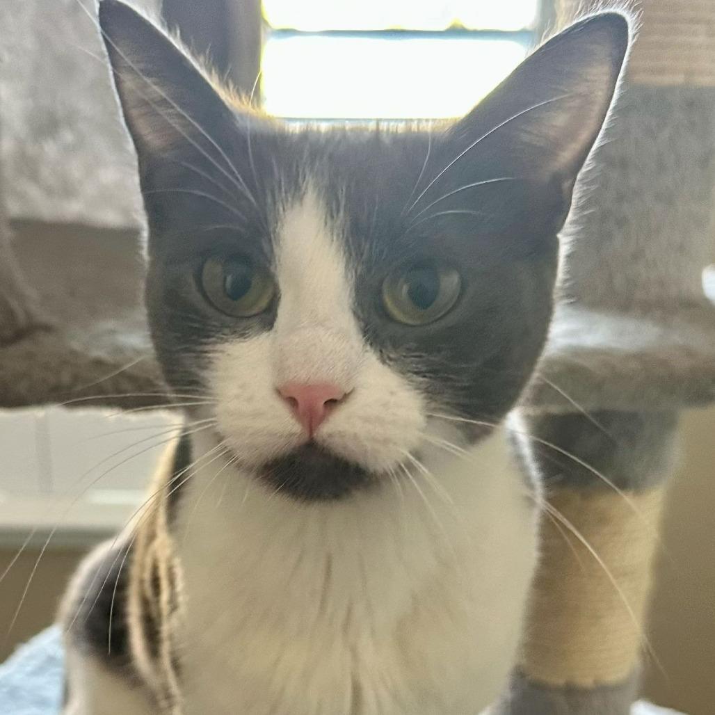 Boomer (FKA: Cherry)