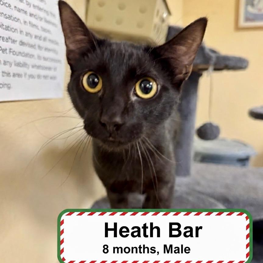 Heath Bar