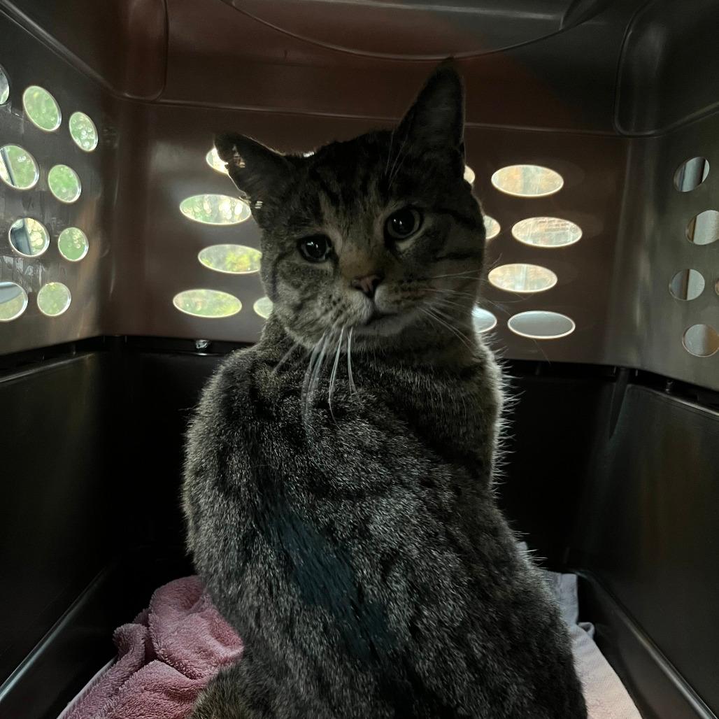 Brady f.k.a. "Buddy"