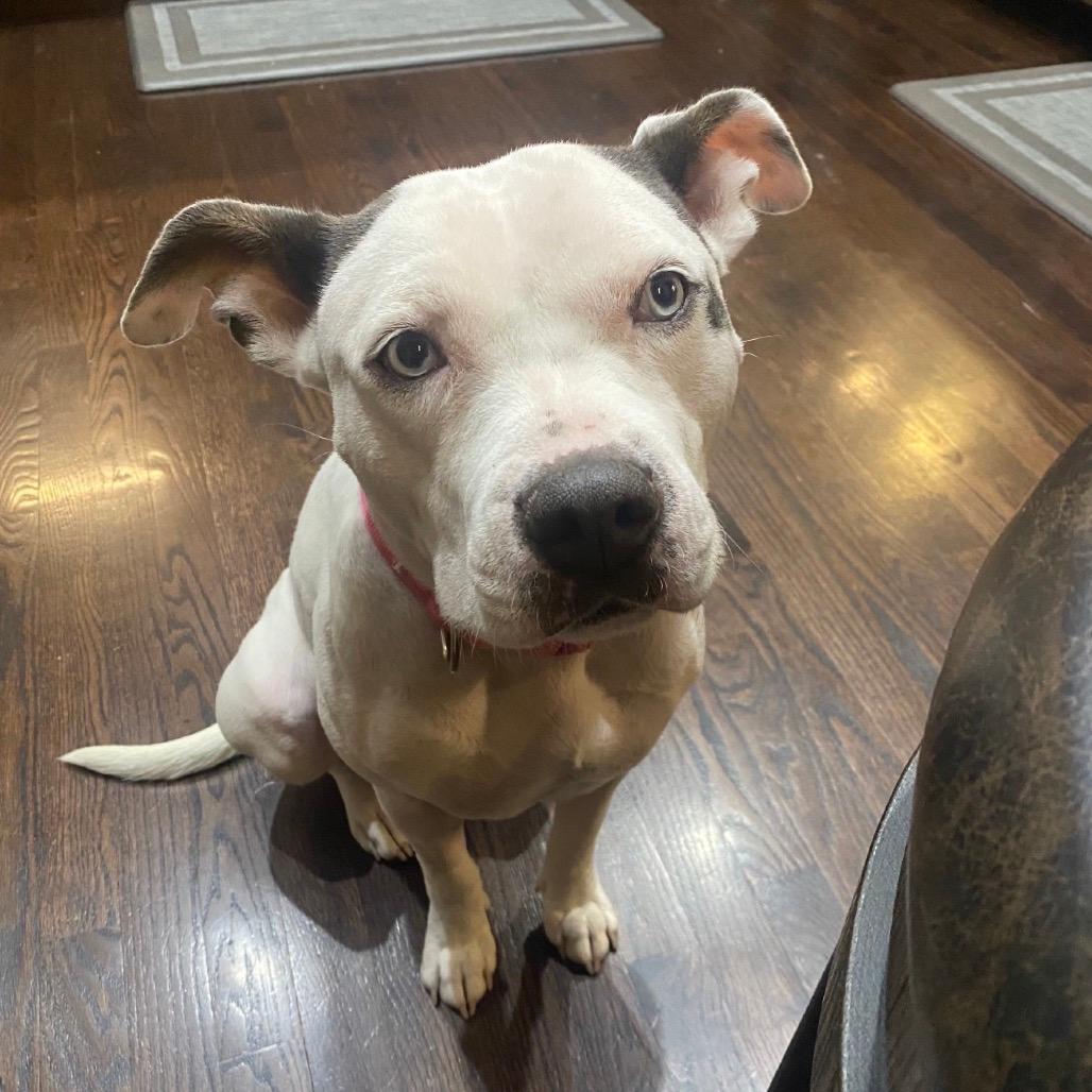 731 (2025) Mama Angel