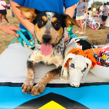 Lainey *Available Soon*