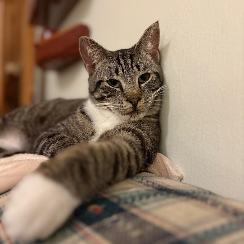 Tangerine Pafford-HW