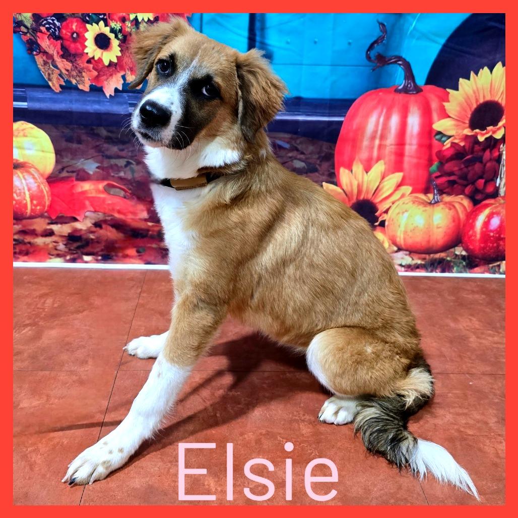 Elsie