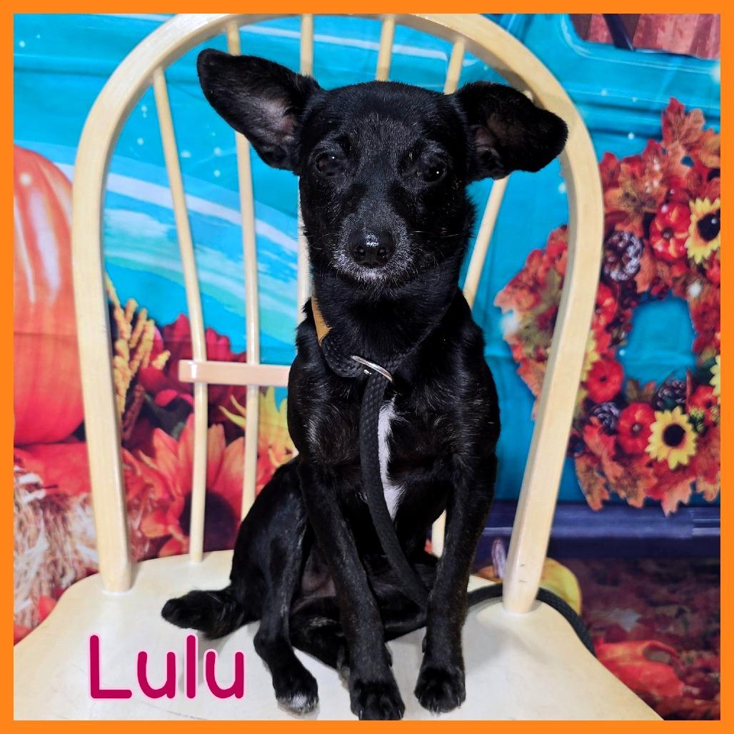 Lulu