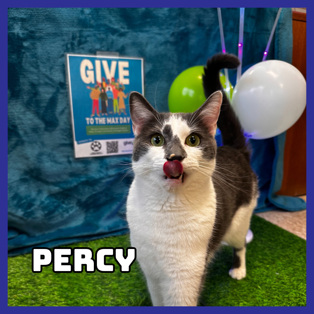 Percy