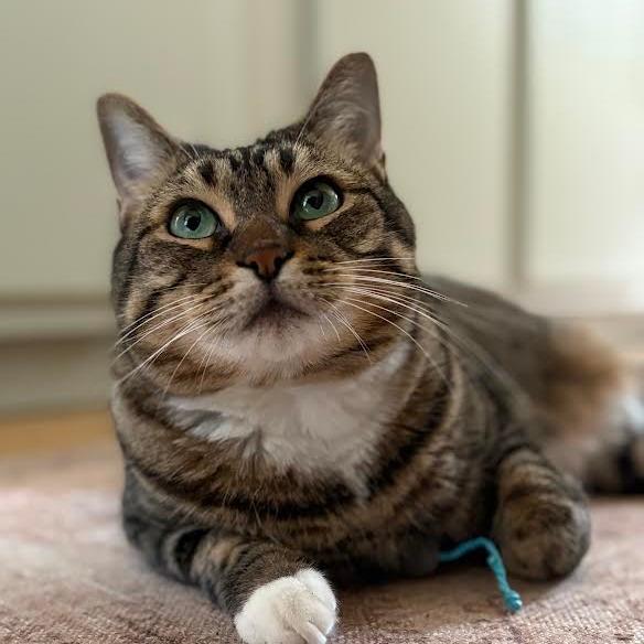 Kaya - See my videos! - In Foster