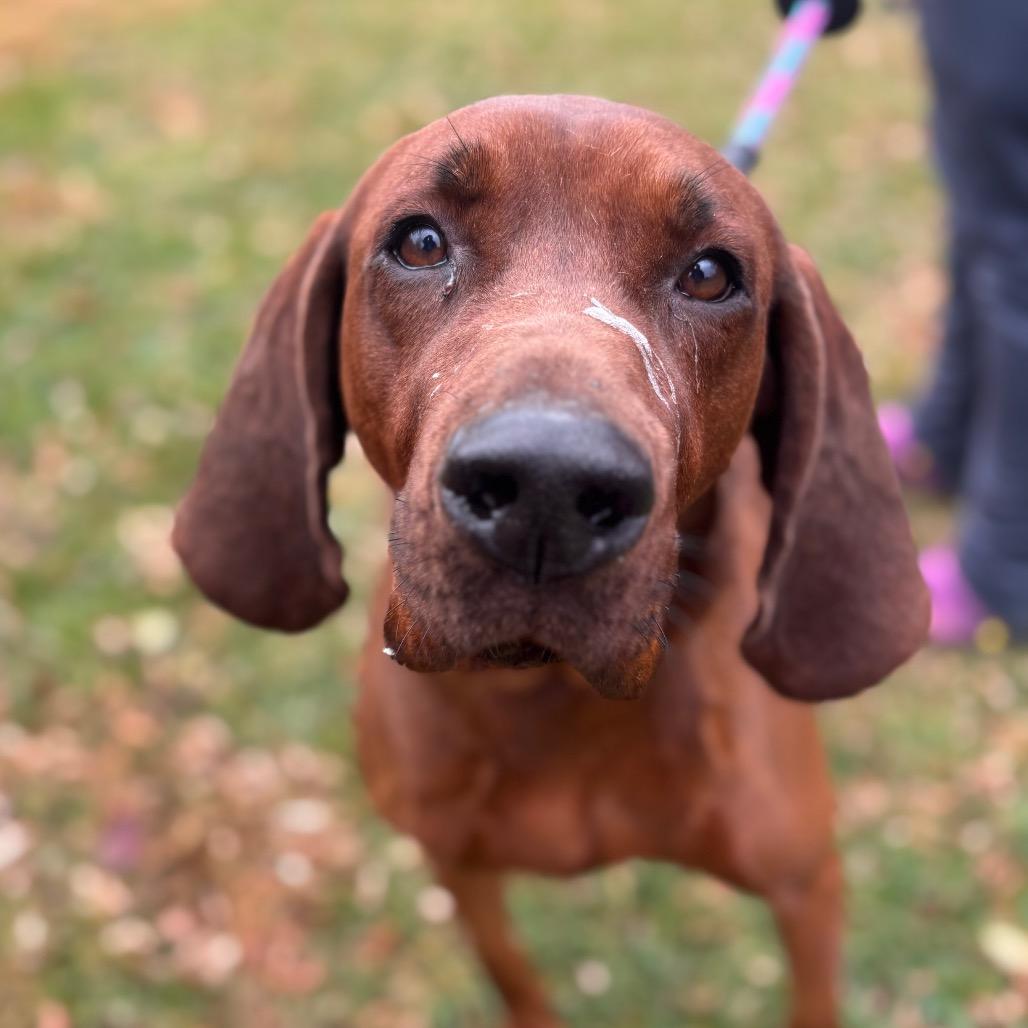 Supercalifragilisticexpialidocious