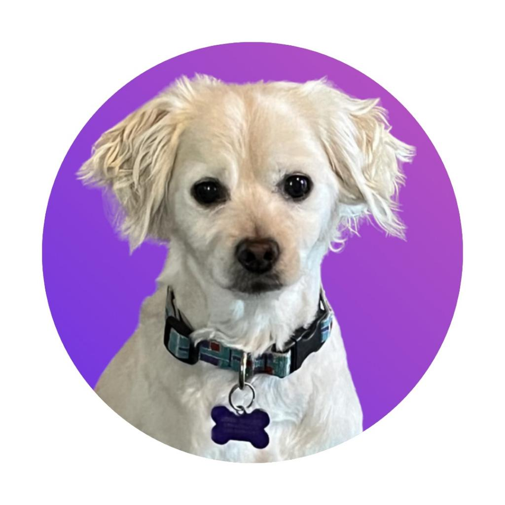 Sir Edward ”Eddy” Woofington