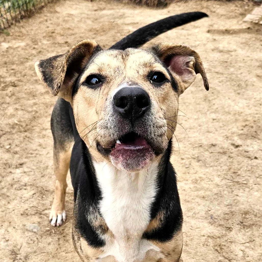 Bonnie *Coming Soon*