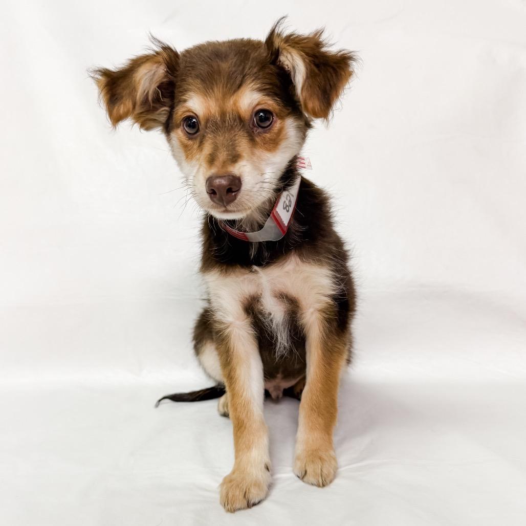 821 (2025) Professor