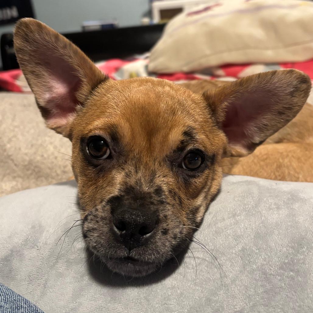 Spunky - See My Video!