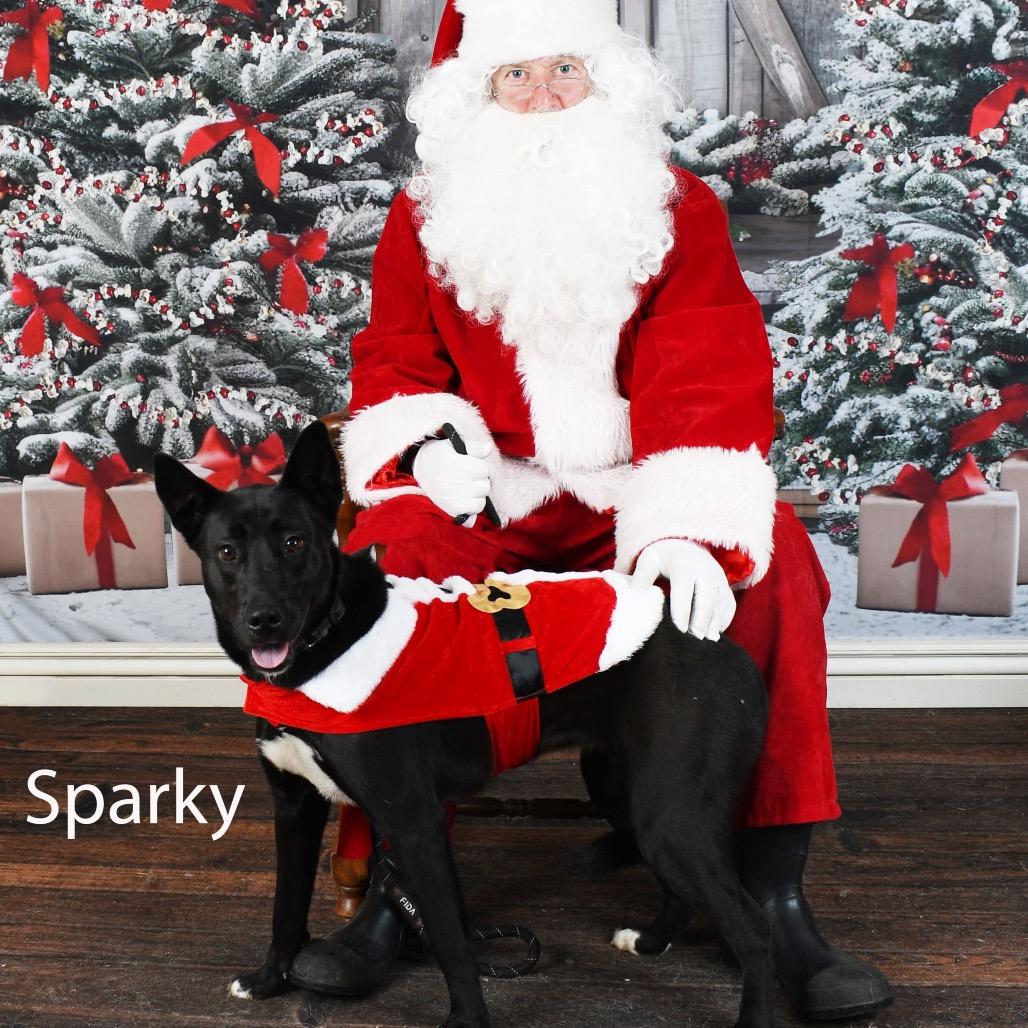 Sparky 