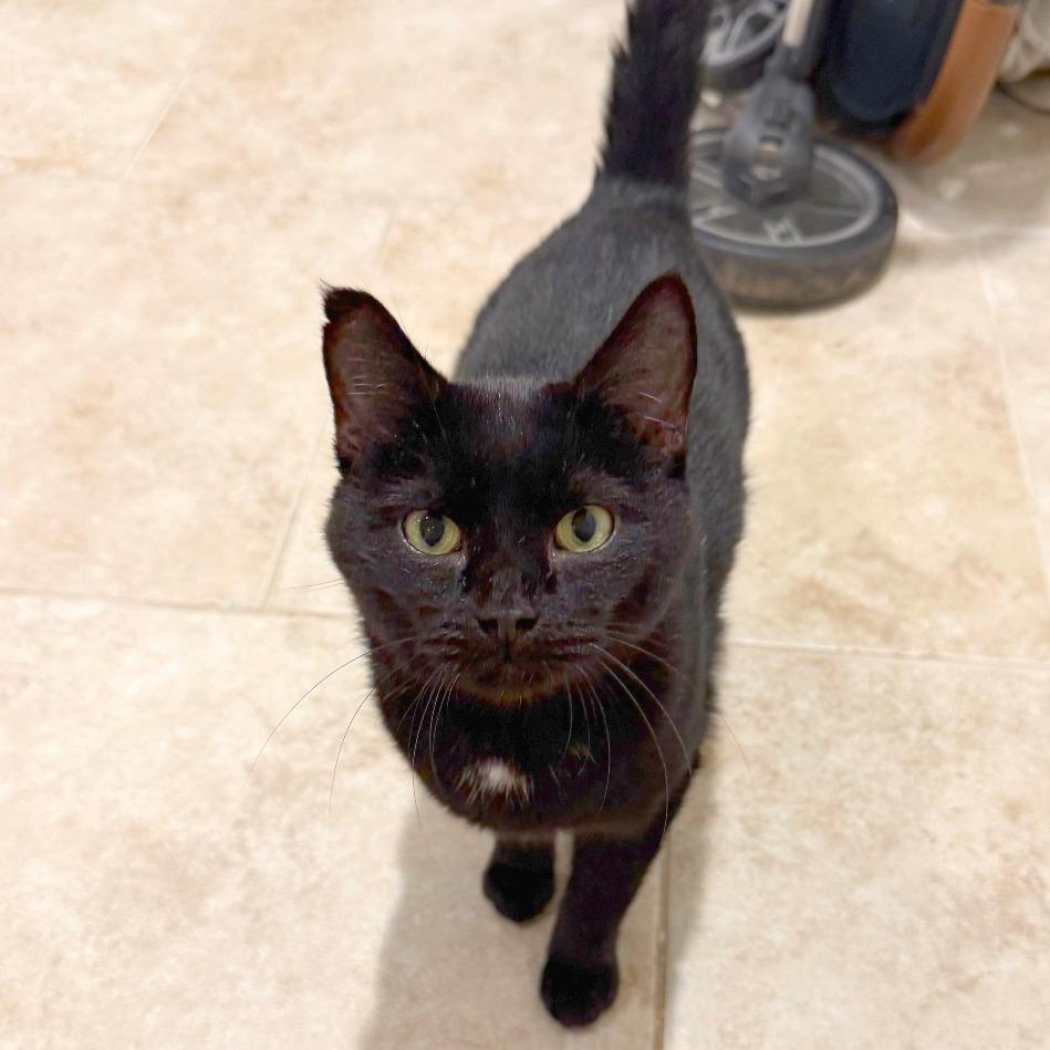 Bates Family: Norma (16674)