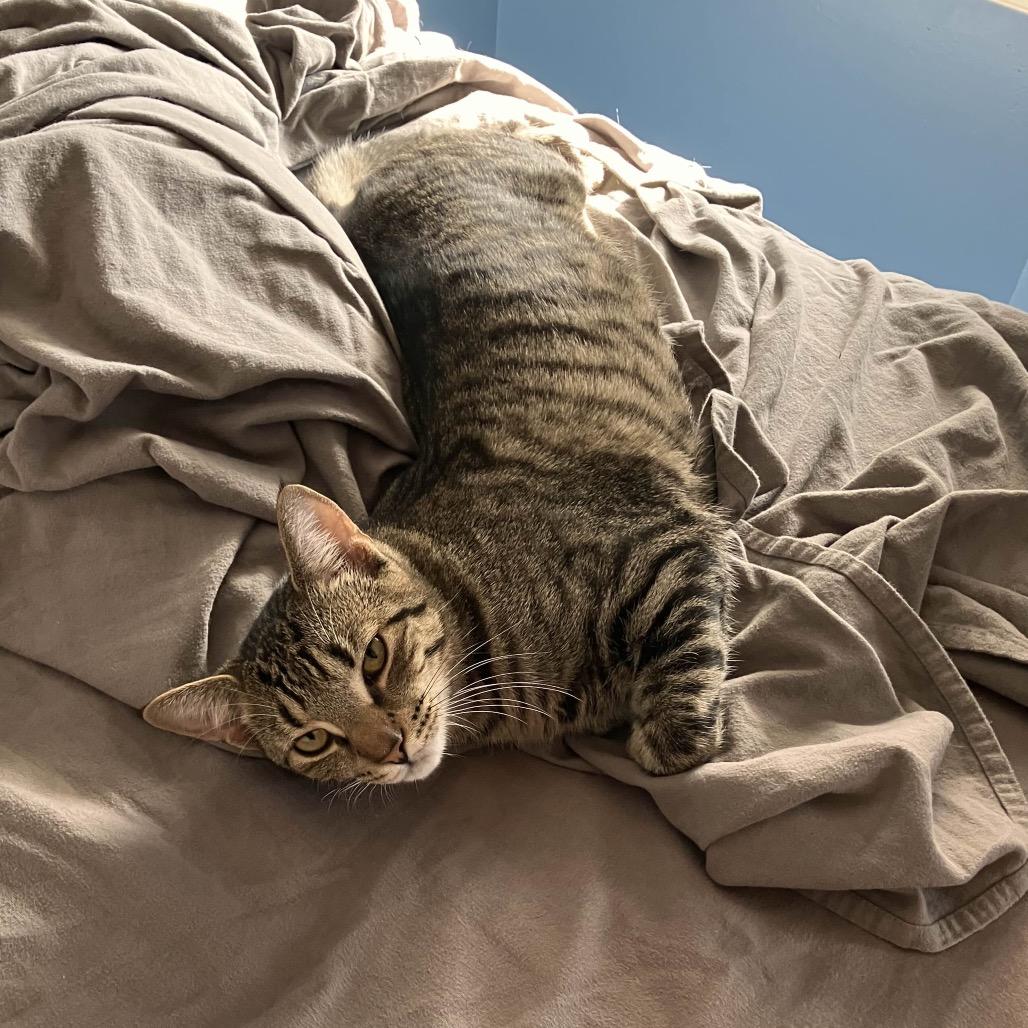 Strawberry & Blueberry