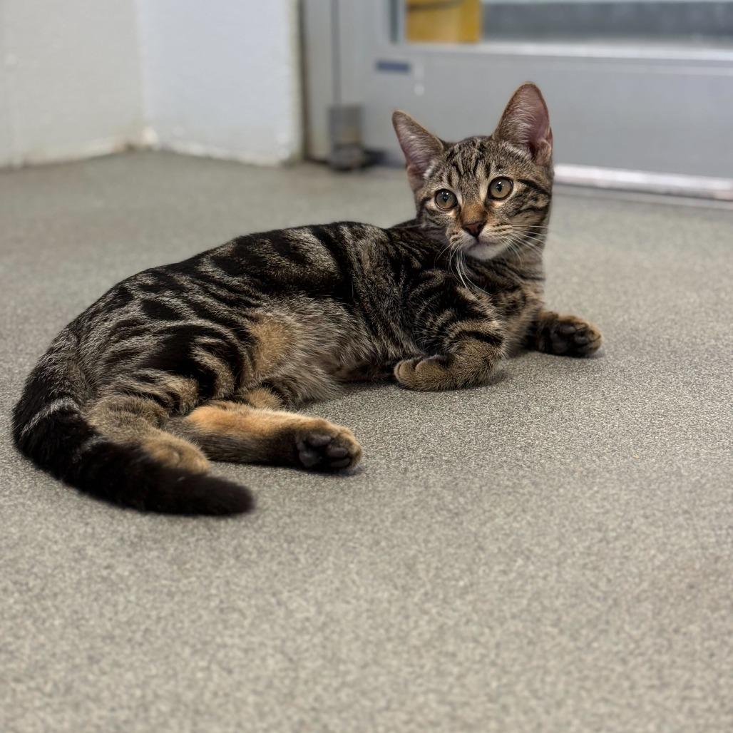 Aggravated Identity Theft