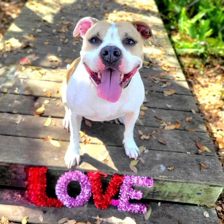 Luna aka Loony Tunes