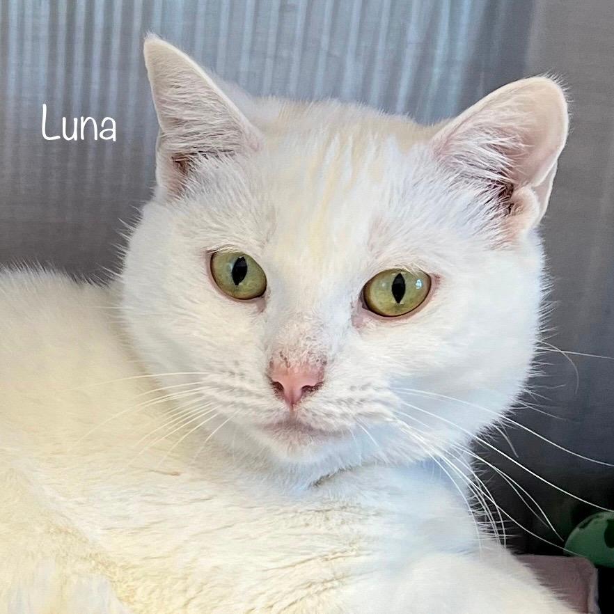 Luna